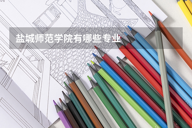 盐城师范学院有哪些专业