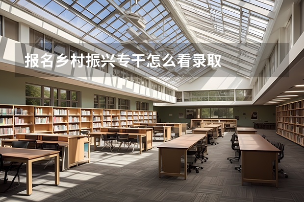 报名乡村振兴专干怎么看录取