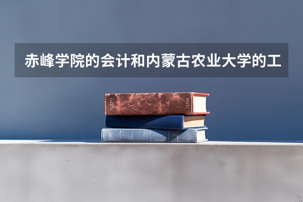 赤峰学院的会计和内蒙古农业大学的工商管理专业优选哪个