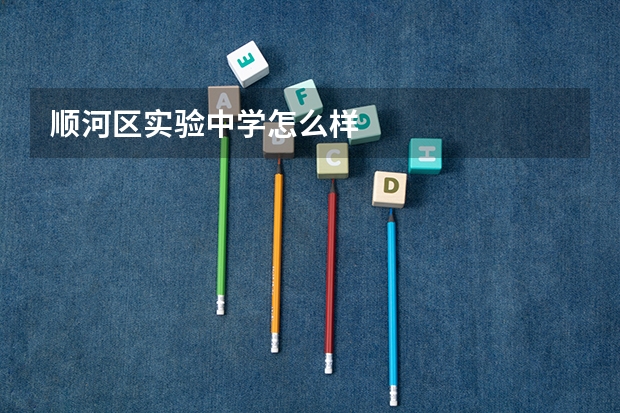 顺河区实验中学怎么样