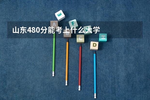 山东480分能考上什么大学