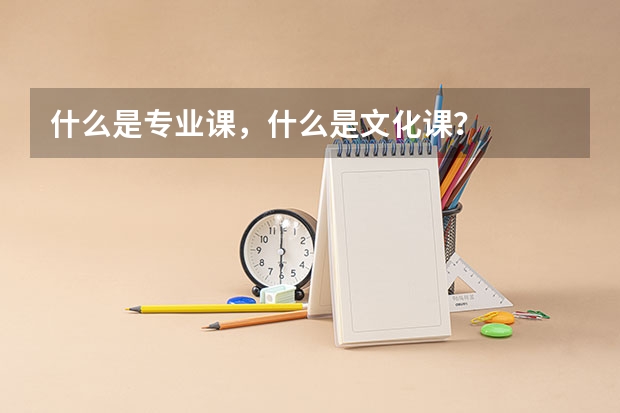 什么是专业课，什么是文化课？