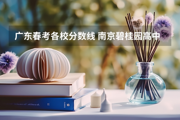 广东春考各校分数线 南京碧桂园高中录取分数线