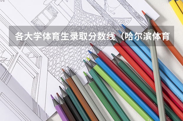 各大学体育生录取分数线（哈尔滨体育学院分数线）