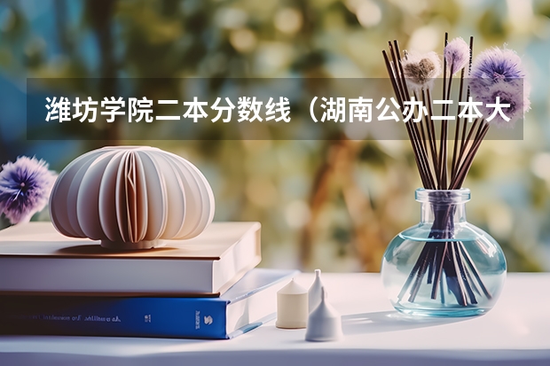 潍坊学院二本分数线（湖南公办二本大学录取分数线）