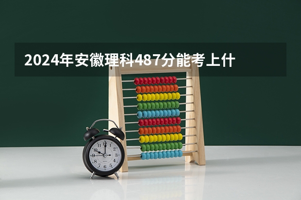 2024年安徽理科487分能考上什么大学？