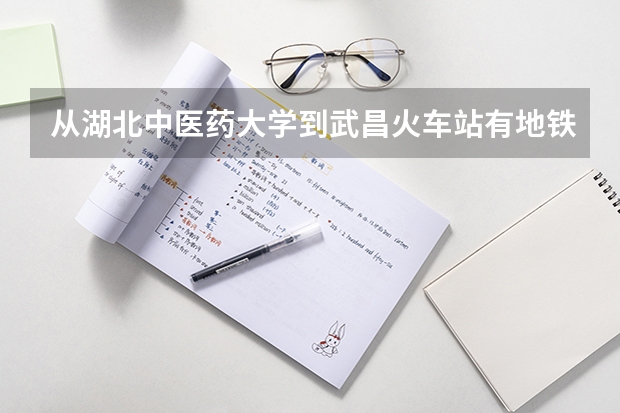 从湖北中医药大学到武昌火车站有地铁吗?