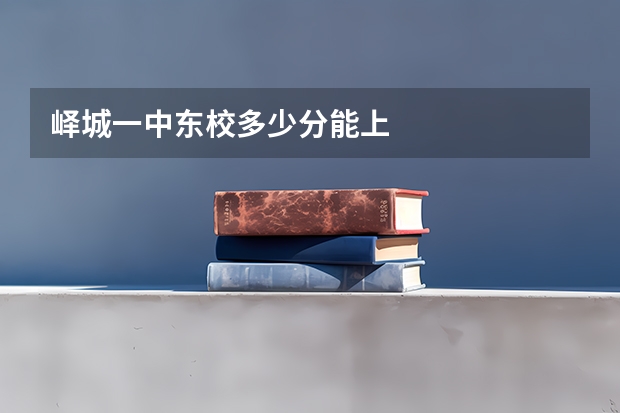 峄城一中东校多少分能上