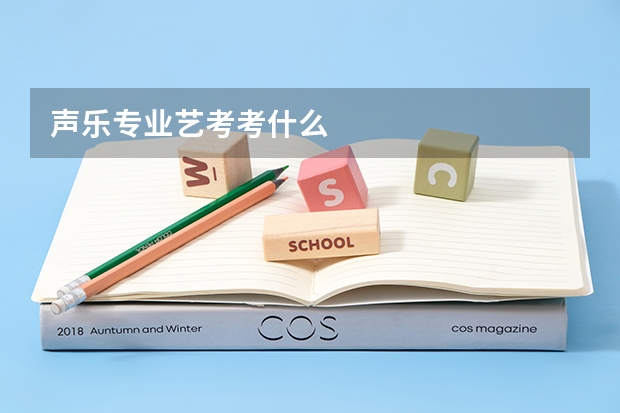 声乐专业艺考考什么
