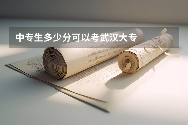 中专生多少分可以考武汉大专