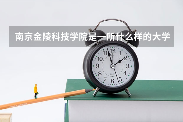 南京金陵科技学院是一所什么样的大学？