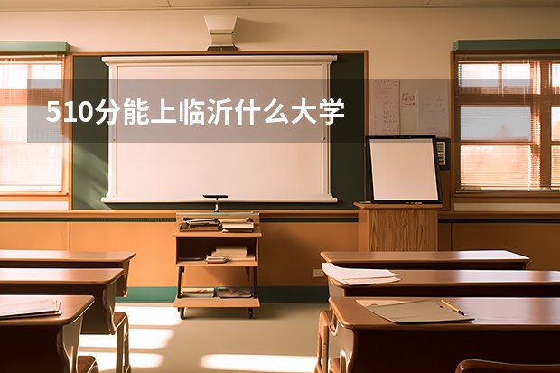 510分能上临沂什么大学
