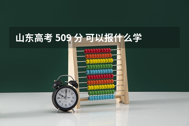 山东高考 509 分 可以报什么学校啊?