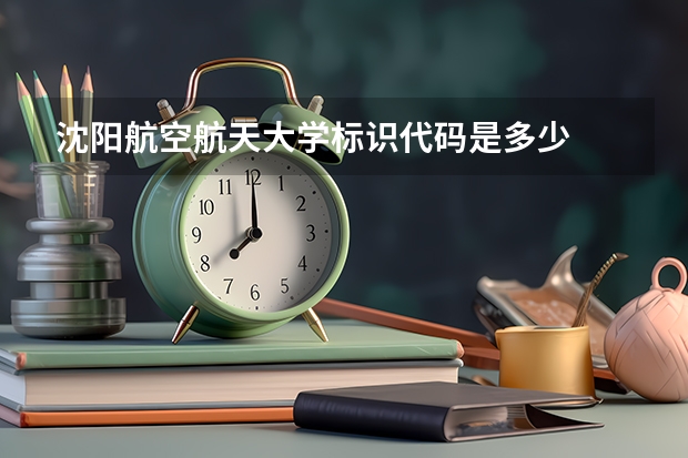 沈阳航空航天大学标识代码是多少