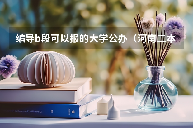 编导b段可以报的大学公办（河南二本线分数线）