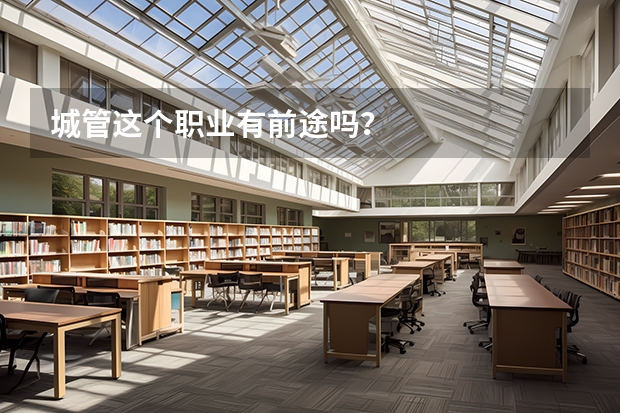 城管这个职业有前途吗？