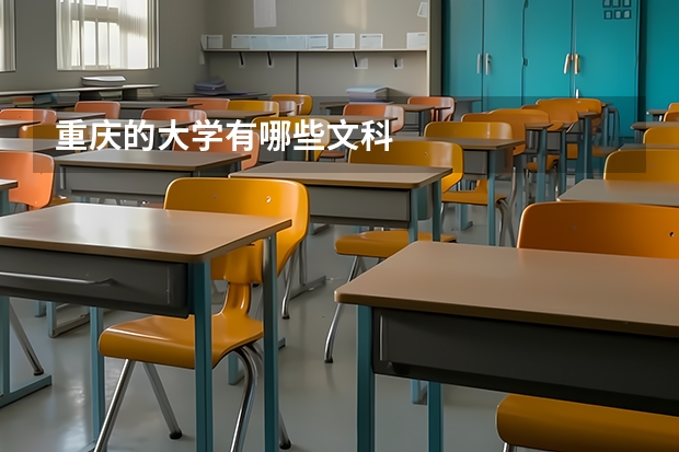 重庆的大学有哪些文科
