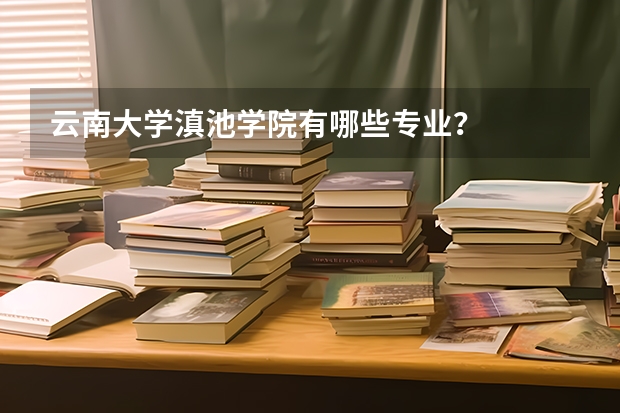 云南大学滇池学院有哪些专业？