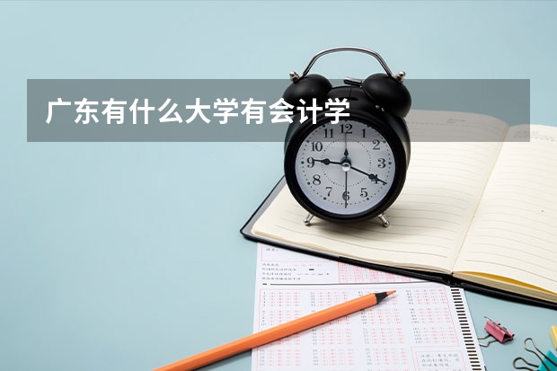 广东有什么大学有会计学