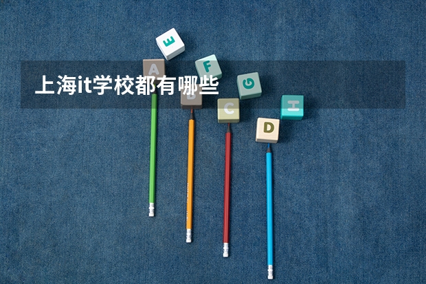 上海it学校都有哪些