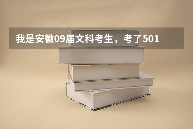 我是安徽09届文科考生，考了501分，刚达二本线.填安徽财经大学商务院的会计专业(三本)可以吗