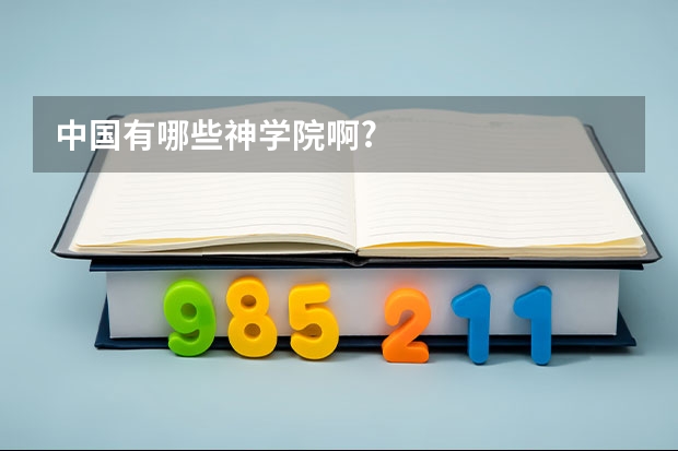 中国有哪些神学院啊?