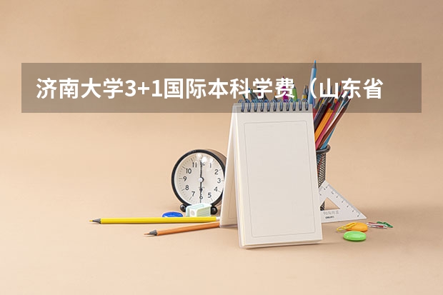 济南大学3+1国际本科学费（山东省本科大学排名表）