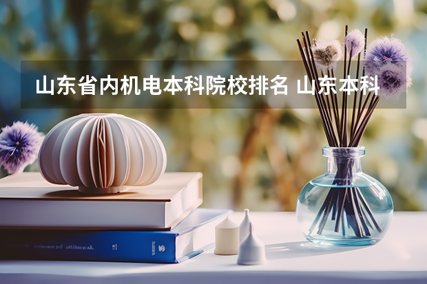 山东省内机电本科院校排名 山东本科学校排名表