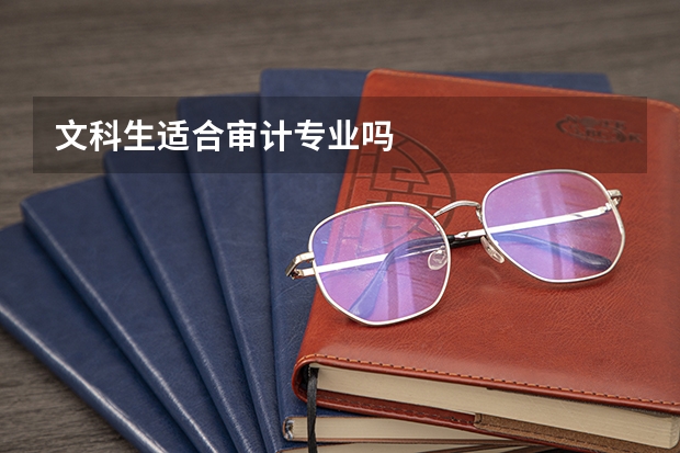 文科生适合审计专业吗