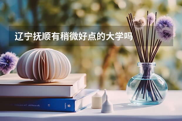 辽宁抚顺有稍微好点的大学吗