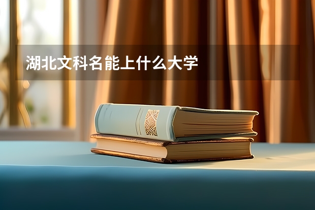 湖北文科名能上什么大学