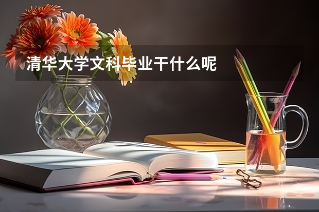 清华大学文科毕业干什么呢