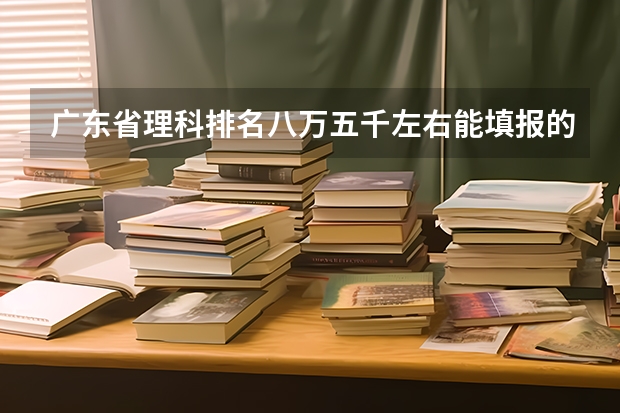 广东省理科排名八万五千左右能填报的本科院校有什么。