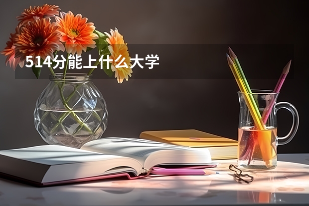 514分能上什么大学