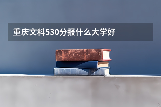 重庆文科530分报什么大学好