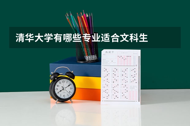 清华大学有哪些专业适合文科生