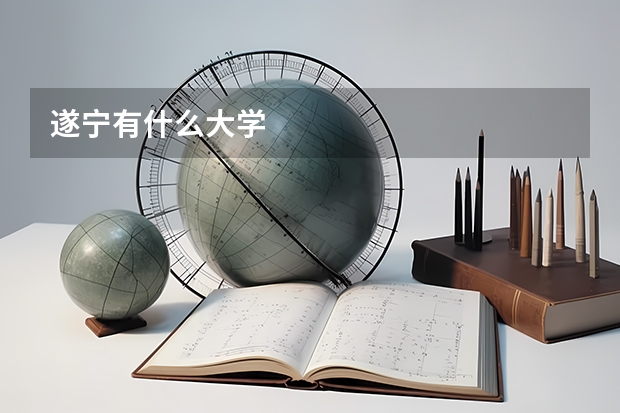 遂宁有什么大学