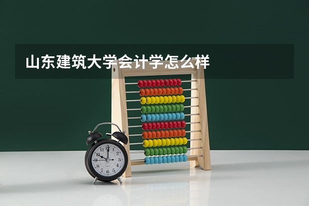 山东建筑大学会计学怎么样