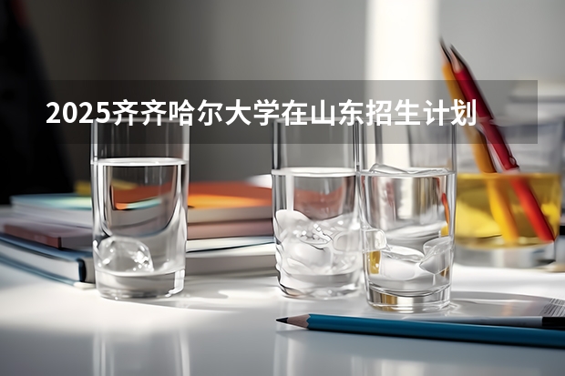 2025齐齐哈尔大学在山东招生计划一览表