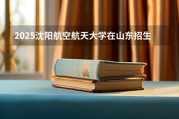 2025沈阳航空航天大学在山东招生计划一览表
