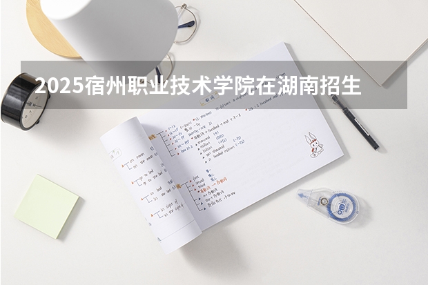 2025宿州职业技术学院在湖南招生计划一览表