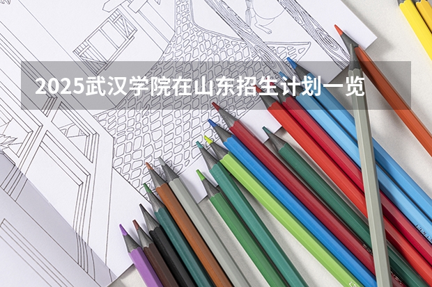 2025武汉学院在山东招生计划一览表