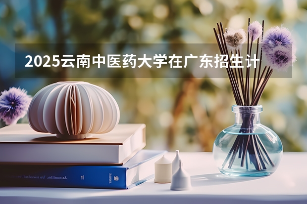 2025云南中医药大学在广东招生计划人数一览表