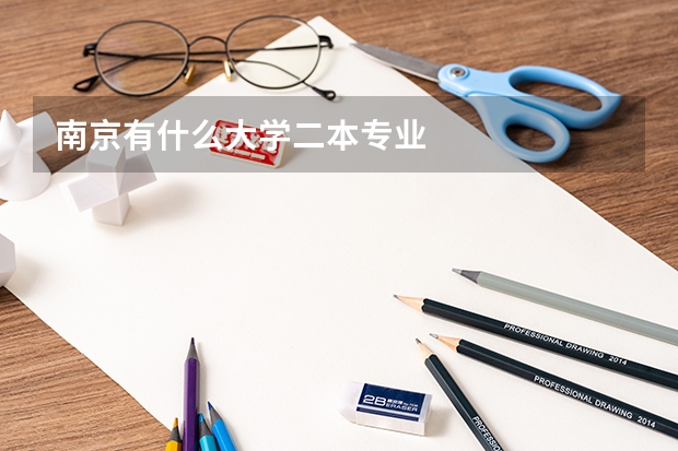 南京有什么大学二本专业