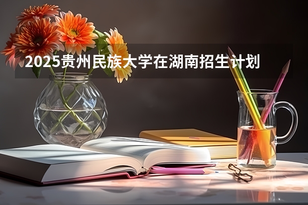 2025贵州民族大学在湖南招生计划一览表