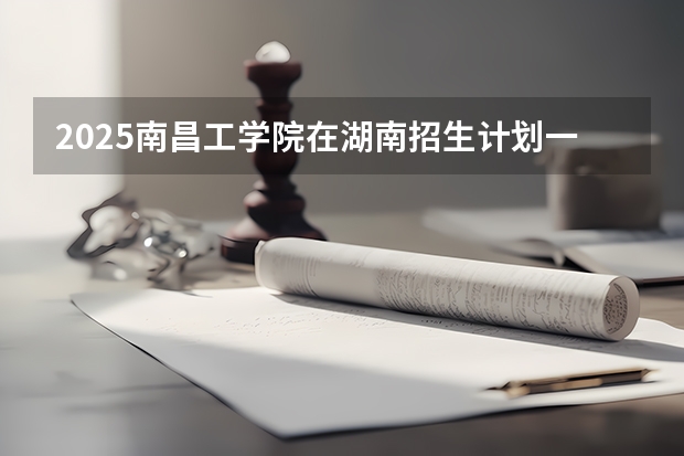 2025南昌工学院在湖南招生计划一览表