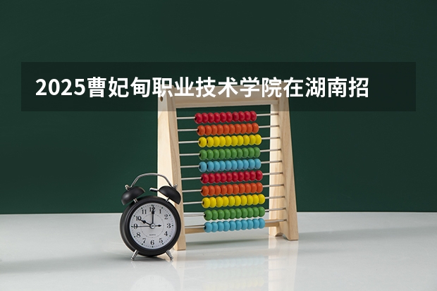 2025曹妃甸职业技术学院在湖南招生计划一览表