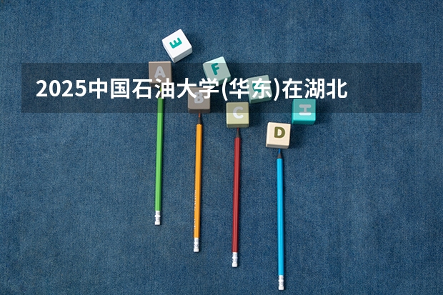2025中国石油大学(华东)在湖北招生计划一览表