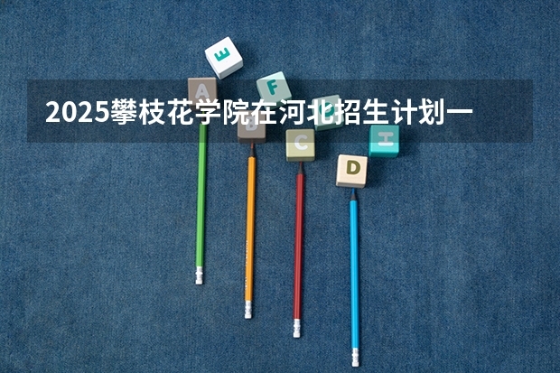 2025攀枝花学院在河北招生计划一览表