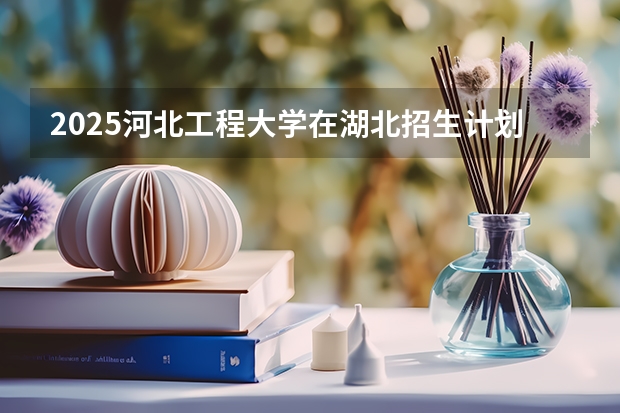 2025河北工程大学在湖北招生计划一览表